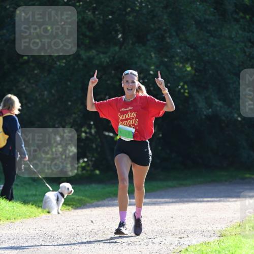 27.09.2026 - 35. Volkslauf durch das schöne Alstertal Dr. Thomas Lammeyer http://msf.ph/oto/10567777 27.09.2026 10:48:34 Laufen 368 meine-sportfotos.de