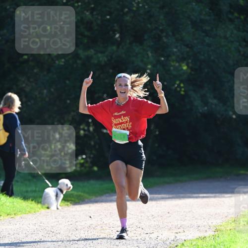 27.09.2026 - 35. Volkslauf durch das schöne Alstertal Dr. Thomas Lammeyer http://msf.ph/oto/10567778 27.09.2026 10:48:34 Laufen 5368 meine-sportfotos.de