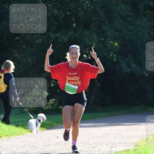 27.09.2026 - 35. Volkslauf durch das schöne Alstertal Dr. Thomas Lammeyer http://msf.ph/oto/10567781 27.09.2026 10:48:34 Laufen 8368 meine-sportfotos.de