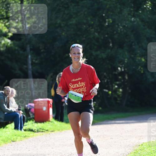 27.09.2026 - 35. Volkslauf durch das schöne Alstertal Dr. Thomas Lammeyer http://msf.ph/oto/10567794 27.09.2026 10:48:36 Laufen  meine-sportfotos.de