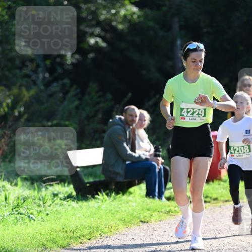 27.09.2026 - 35. Volkslauf durch das schöne Alstertal Dr. Thomas Lammeyer http://msf.ph/oto/10567817 27.09.2026 10:48:44 Laufen 4229, 4208 meine-sportfotos.de