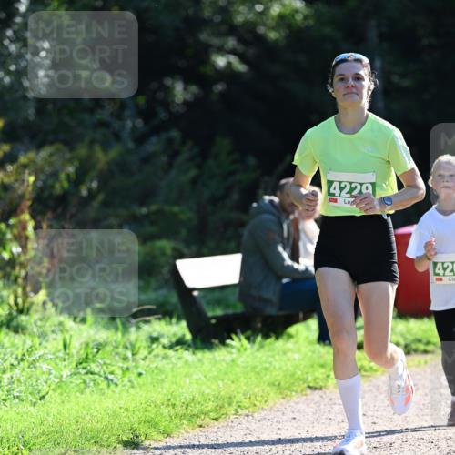 27.09.2026 - 35. Volkslauf durch das schöne Alstertal Dr. Thomas Lammeyer http://msf.ph/oto/10567819 27.09.2026 10:48:45 Laufen 4229, 42 meine-sportfotos.de