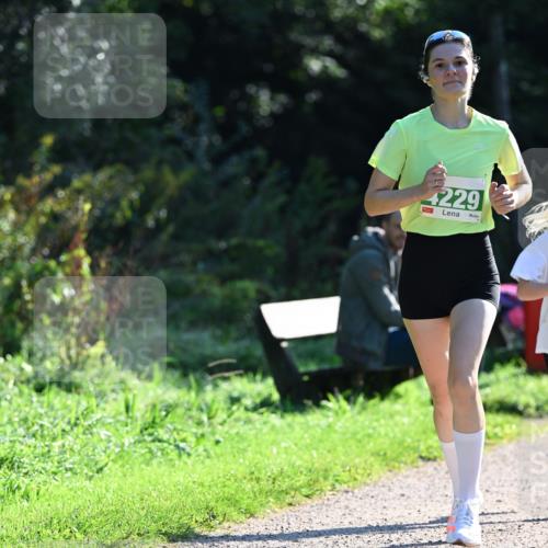 27.09.2026 - 35. Volkslauf durch das schöne Alstertal Dr. Thomas Lammeyer http://msf.ph/oto/10567820 27.09.2026 10:48:45 Laufen 229 meine-sportfotos.de