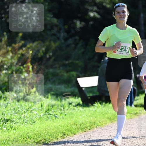27.09.2026 - 35. Volkslauf durch das schöne Alstertal Dr. Thomas Lammeyer http://msf.ph/oto/10567821 27.09.2026 10:48:45 Laufen 229 meine-sportfotos.de