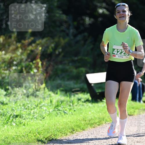 27.09.2026 - 35. Volkslauf durch das schöne Alstertal Dr. Thomas Lammeyer http://msf.ph/oto/10567822 27.09.2026 10:48:45 Laufen 4225 meine-sportfotos.de
