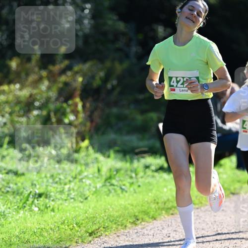 27.09.2026 - 35. Volkslauf durch das schöne Alstertal Dr. Thomas Lammeyer http://msf.ph/oto/10567824 27.09.2026 10:48:45 Laufen 422 meine-sportfotos.de