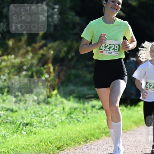 27.09.2026 - 35. Volkslauf durch das schöne Alstertal Dr. Thomas Lammeyer http://msf.ph/oto/10567825 27.09.2026 10:48:45 Laufen 4229, 42 meine-sportfotos.de
