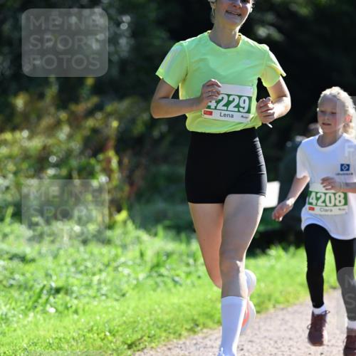 27.09.2026 - 35. Volkslauf durch das schöne Alstertal Dr. Thomas Lammeyer http://msf.ph/oto/10567826 27.09.2026 10:48:46 Laufen 229, 0, 4208 meine-sportfotos.de