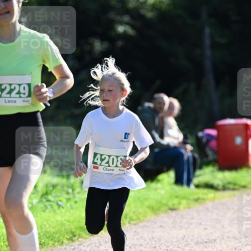 27.09.2026 - 35. Volkslauf durch das schöne Alstertal Dr. Thomas Lammeyer http://msf.ph/oto/10567827 27.09.2026 10:48:46 Laufen 229, 4208 meine-sportfotos.de