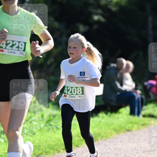 27.09.2026 - 35. Volkslauf durch das schöne Alstertal Dr. Thomas Lammeyer http://msf.ph/oto/10567828 27.09.2026 10:48:46 Laufen 4229, 4208 meine-sportfotos.de