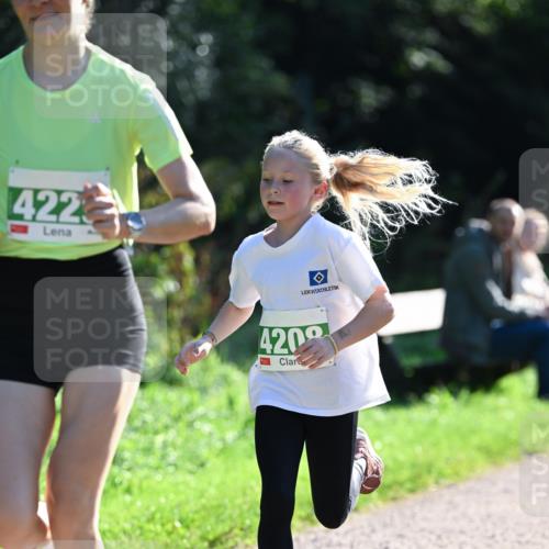 27.09.2026 - 35. Volkslauf durch das schöne Alstertal Dr. Thomas Lammeyer http://msf.ph/oto/10567829 27.09.2026 10:48:46 Laufen 422, 4209 meine-sportfotos.de