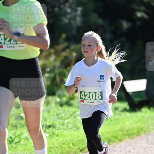 27.09.2026 - 35. Volkslauf durch das schöne Alstertal Dr. Thomas Lammeyer http://msf.ph/oto/10567830 27.09.2026 10:48:47 Laufen 4245, 4208 meine-sportfotos.de