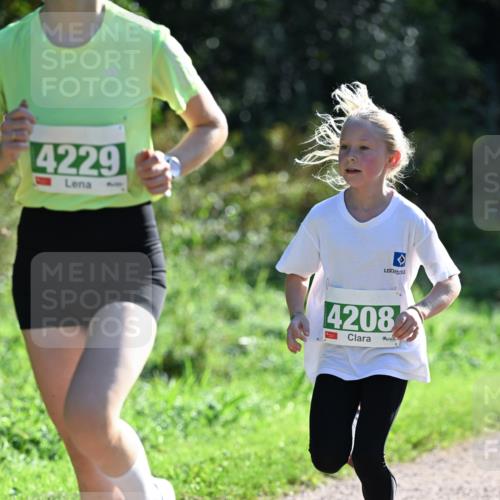27.09.2026 - 35. Volkslauf durch das schöne Alstertal Dr. Thomas Lammeyer http://msf.ph/oto/10567832 27.09.2026 10:48:47 Laufen 4229, 4208 meine-sportfotos.de