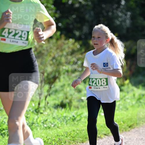 27.09.2026 - 35. Volkslauf durch das schöne Alstertal Dr. Thomas Lammeyer http://msf.ph/oto/10567833 27.09.2026 10:48:47 Laufen 4229, 4208 meine-sportfotos.de