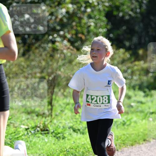 27.09.2026 - 35. Volkslauf durch das schöne Alstertal Dr. Thomas Lammeyer http://msf.ph/oto/10567836 27.09.2026 10:48:47 Laufen 4208 meine-sportfotos.de