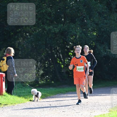 27.09.2026 - 35. Volkslauf durch das schöne Alstertal Dr. Thomas Lammeyer http://msf.ph/oto/10567838 27.09.2026 10:49:02 Laufen 4133 meine-sportfotos.de