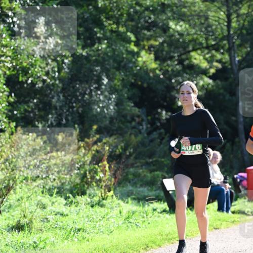 27.09.2026 - 35. Volkslauf durch das schöne Alstertal Dr. Thomas Lammeyer http://msf.ph/oto/10567860 27.09.2026 10:49:06 Laufen 4076 meine-sportfotos.de