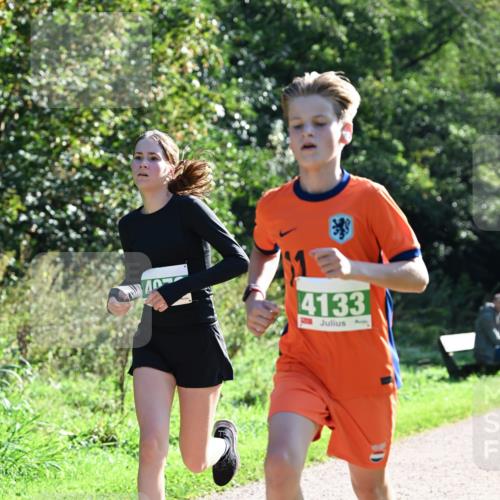 27.09.2026 - 35. Volkslauf durch das schöne Alstertal Dr. Thomas Lammeyer http://msf.ph/oto/10567869 27.09.2026 10:49:08 Laufen 4133 meine-sportfotos.de