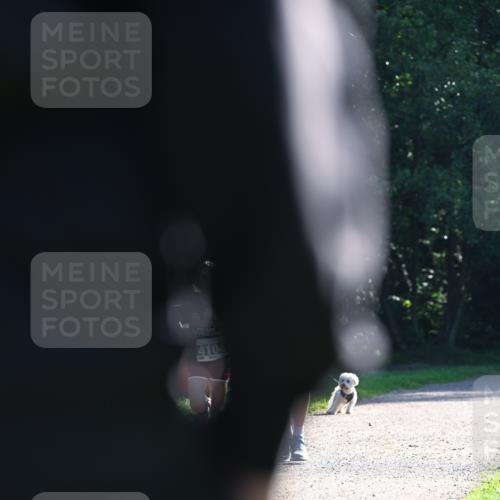 27.09.2026 - 35. Volkslauf durch das schöne Alstertal Dr. Thomas Lammeyer http://msf.ph/oto/10567890 27.09.2026 10:49:16 Laufen 4104 meine-sportfotos.de