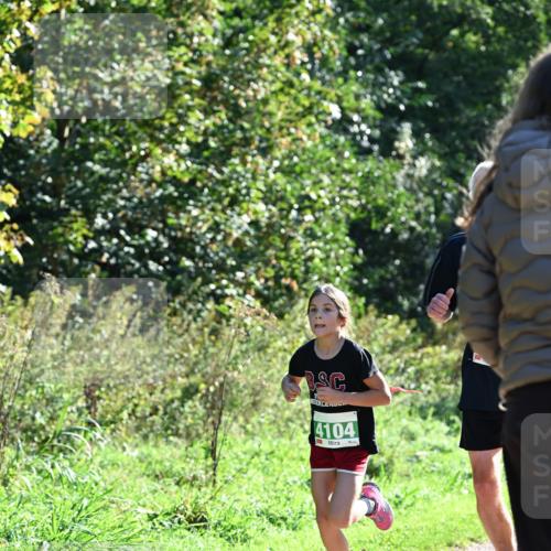 27.09.2026 - 35. Volkslauf durch das schöne Alstertal Dr. Thomas Lammeyer http://msf.ph/oto/10567891 27.09.2026 10:49:19 Laufen 4104 meine-sportfotos.de