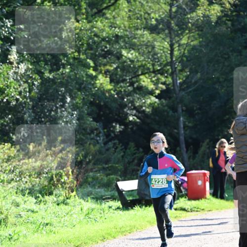 27.09.2026 - 35. Volkslauf durch das schöne Alstertal Dr. Thomas Lammeyer http://msf.ph/oto/10567900 27.09.2026 10:49:26 Laufen 4228 meine-sportfotos.de