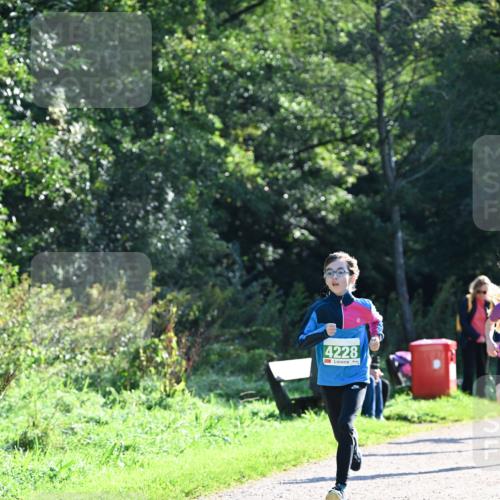 27.09.2026 - 35. Volkslauf durch das schöne Alstertal Dr. Thomas Lammeyer http://msf.ph/oto/10567901 27.09.2026 10:49:26 Laufen 4228 meine-sportfotos.de