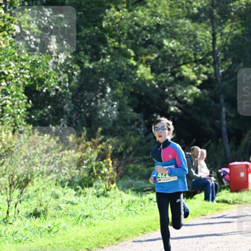 27.09.2026 - 35. Volkslauf durch das schöne Alstertal Dr. Thomas Lammeyer http://msf.ph/oto/10567904 27.09.2026 10:49:26 Laufen 422 meine-sportfotos.de