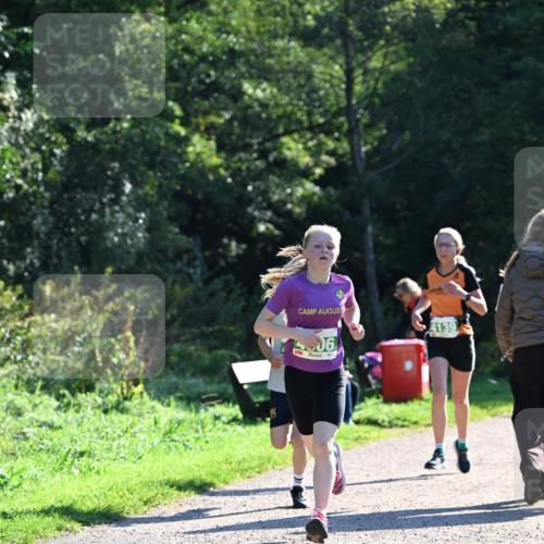 27.09.2026 - 35. Volkslauf durch das schöne Alstertal Dr. Thomas Lammeyer http://msf.ph/oto/10567908 27.09.2026 10:49:28 Laufen 06, 4139 meine-sportfotos.de