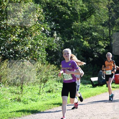 27.09.2026 - 35. Volkslauf durch das schöne Alstertal Dr. Thomas Lammeyer http://msf.ph/oto/10567916 27.09.2026 10:49:29 Laufen 23, 4006, 4139 meine-sportfotos.de