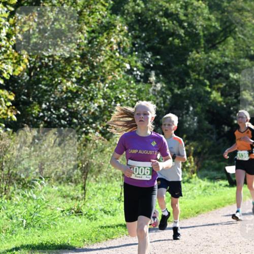 27.09.2026 - 35. Volkslauf durch das schöne Alstertal Dr. Thomas Lammeyer http://msf.ph/oto/10567919 27.09.2026 10:49:29 Laufen 23, 006, 4139 meine-sportfotos.de