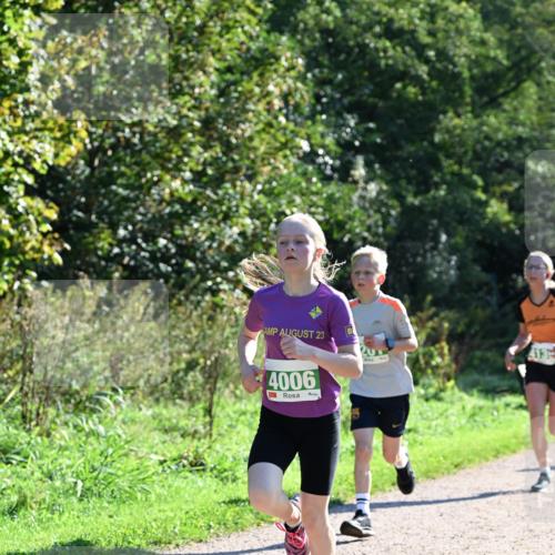 27.09.2026 - 35. Volkslauf durch das schöne Alstertal Dr. Thomas Lammeyer http://msf.ph/oto/10567920 27.09.2026 10:49:30 Laufen 23, 4006, 413 meine-sportfotos.de