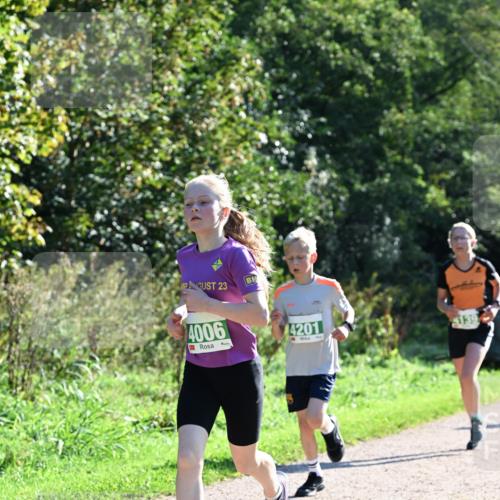 27.09.2026 - 35. Volkslauf durch das schöne Alstertal Dr. Thomas Lammeyer http://msf.ph/oto/10567921 27.09.2026 10:49:30 Laufen 23, 4006, 4201, 9139 meine-sportfotos.de
