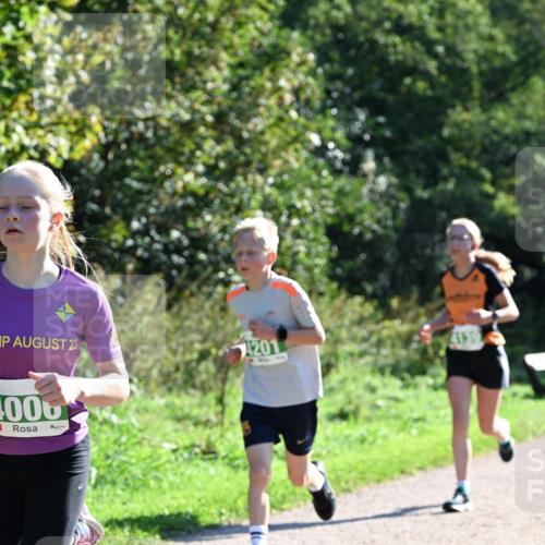 27.09.2026 - 35. Volkslauf durch das schöne Alstertal Dr. Thomas Lammeyer http://msf.ph/oto/10567922 27.09.2026 10:49:30 Laufen 23, 1006, 4201, 4139 meine-sportfotos.de