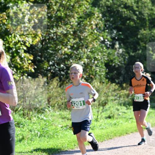 27.09.2026 - 35. Volkslauf durch das schöne Alstertal Dr. Thomas Lammeyer http://msf.ph/oto/10567923 27.09.2026 10:49:30 Laufen 4201, 4139 meine-sportfotos.de