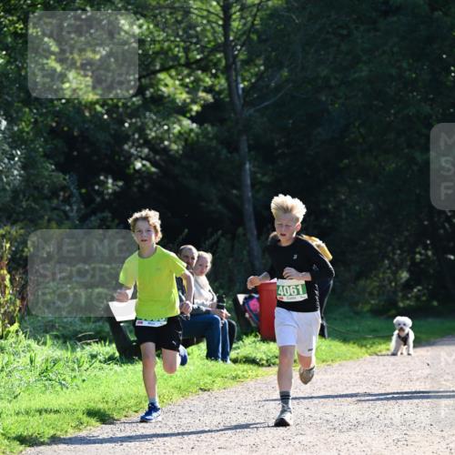 27.09.2026 - 35. Volkslauf durch das schöne Alstertal Dr. Thomas Lammeyer http://msf.ph/oto/10567930 27.09.2026 10:49:34 Laufen 4061 meine-sportfotos.de
