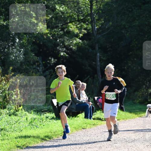 27.09.2026 - 35. Volkslauf durch das schöne Alstertal Dr. Thomas Lammeyer http://msf.ph/oto/10567931 27.09.2026 10:49:34 Laufen 4061 meine-sportfotos.de