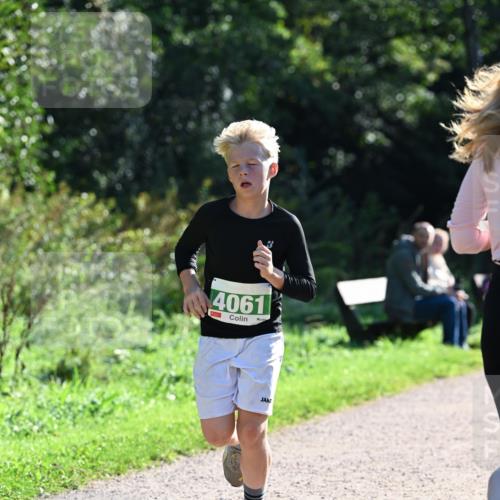 27.09.2026 - 35. Volkslauf durch das schöne Alstertal Dr. Thomas Lammeyer http://msf.ph/oto/10567937 27.09.2026 10:49:37 Laufen 4061 meine-sportfotos.de