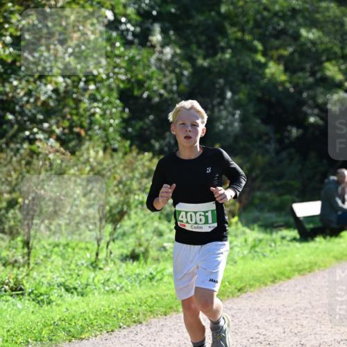 27.09.2026 - 35. Volkslauf durch das schöne Alstertal Dr. Thomas Lammeyer http://msf.ph/oto/10567940 27.09.2026 10:49:37 Laufen 4061 meine-sportfotos.de