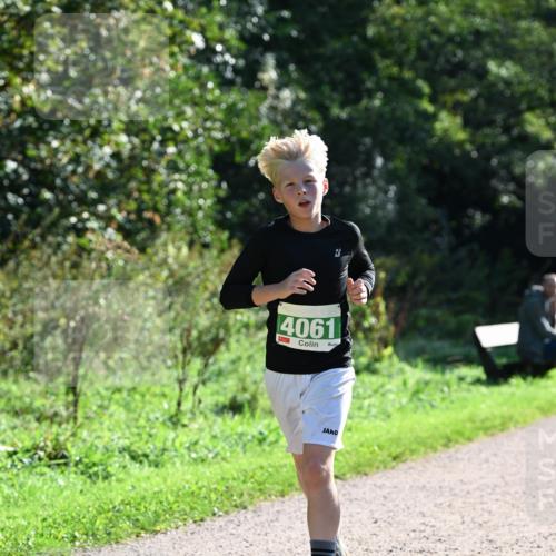 27.09.2026 - 35. Volkslauf durch das schöne Alstertal Dr. Thomas Lammeyer http://msf.ph/oto/10567941 27.09.2026 10:49:37 Laufen 4061 meine-sportfotos.de