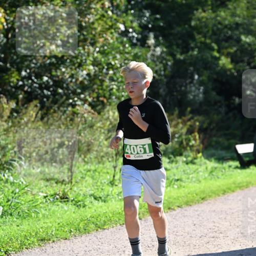 27.09.2026 - 35. Volkslauf durch das schöne Alstertal Dr. Thomas Lammeyer http://msf.ph/oto/10567943 27.09.2026 10:49:37 Laufen 4061 meine-sportfotos.de