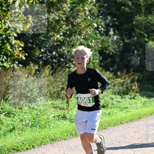 27.09.2026 - 35. Volkslauf durch das schöne Alstertal Dr. Thomas Lammeyer http://msf.ph/oto/10567945 27.09.2026 10:49:38 Laufen 4061 meine-sportfotos.de