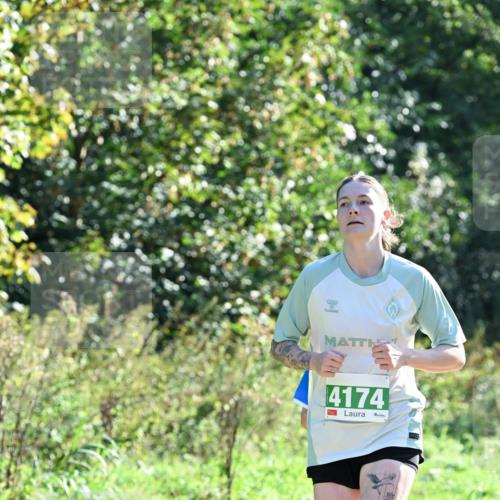 27.09.2026 - 35. Volkslauf durch das schöne Alstertal Dr. Thomas Lammeyer http://msf.ph/oto/10567954 27.09.2026 10:49:52 Laufen 4174, 1 meine-sportfotos.de