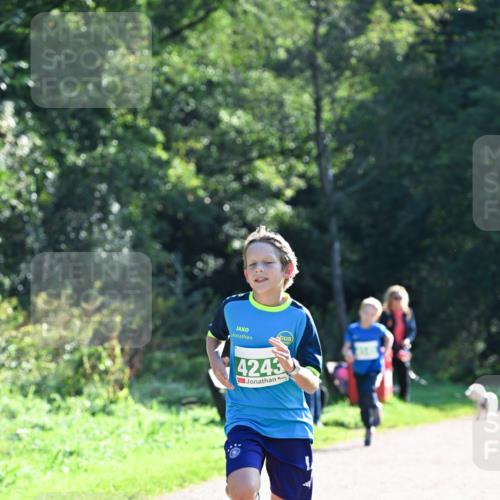 27.09.2026 - 35. Volkslauf durch das schöne Alstertal Dr. Thomas Lammeyer http://msf.ph/oto/10567957 27.09.2026 10:49:53 Laufen 4243 meine-sportfotos.de