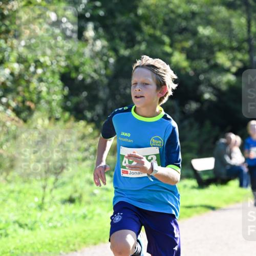 27.09.2026 - 35. Volkslauf durch das schöne Alstertal Dr. Thomas Lammeyer http://msf.ph/oto/10567962 27.09.2026 10:49:54 Laufen  meine-sportfotos.de