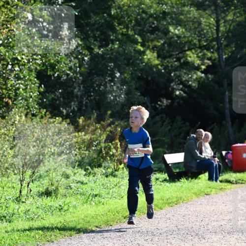 27.09.2026 - 35. Volkslauf durch das schöne Alstertal Dr. Thomas Lammeyer http://msf.ph/oto/10567965 27.09.2026 10:49:56 Laufen  meine-sportfotos.de