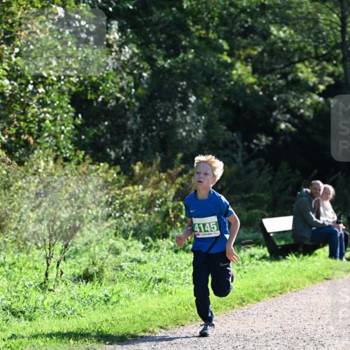 27.09.2026 - 35. Volkslauf durch das schöne Alstertal Dr. Thomas Lammeyer http://msf.ph/oto/10567966 27.09.2026 10:49:56 Laufen 4145 meine-sportfotos.de