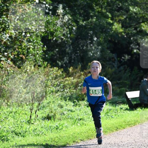 27.09.2026 - 35. Volkslauf durch das schöne Alstertal Dr. Thomas Lammeyer http://msf.ph/oto/10567967 27.09.2026 10:49:56 Laufen 4145 meine-sportfotos.de