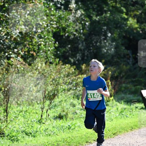27.09.2026 - 35. Volkslauf durch das schöne Alstertal Dr. Thomas Lammeyer http://msf.ph/oto/10567969 27.09.2026 10:49:56 Laufen 4145 meine-sportfotos.de