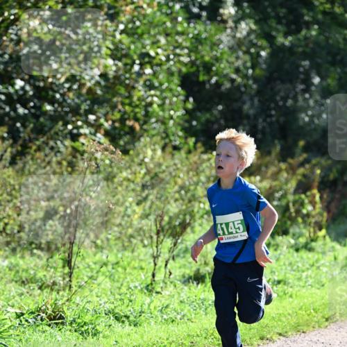 27.09.2026 - 35. Volkslauf durch das schöne Alstertal Dr. Thomas Lammeyer http://msf.ph/oto/10567971 27.09.2026 10:49:56 Laufen 4145 meine-sportfotos.de