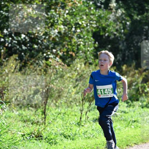 27.09.2026 - 35. Volkslauf durch das schöne Alstertal Dr. Thomas Lammeyer http://msf.ph/oto/10567972 27.09.2026 10:49:56 Laufen 4145 meine-sportfotos.de